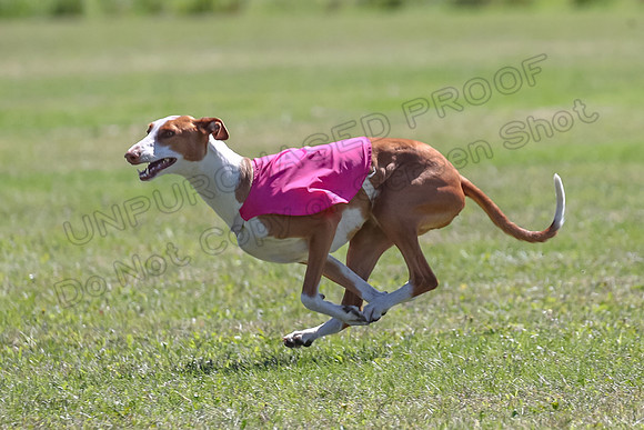 Finals Fch 2 Beastie Ginny-8297