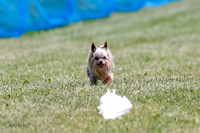 _E4I3339