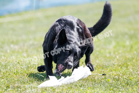 _E4I8217
