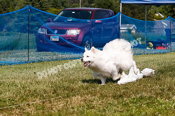 _E4I0005