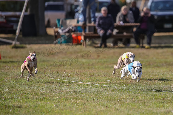 Finals Open 2 Fennec Keegan AnnieOakley-3874