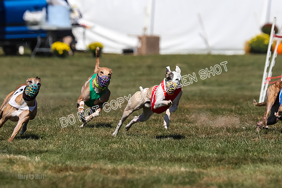 Prg 3, Race 11, Jamie Thunder Dusty Rarity-2215