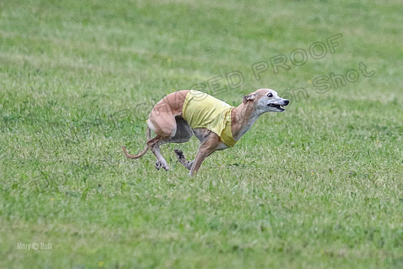 Prelim Open A1, Fia Piper Really-8209