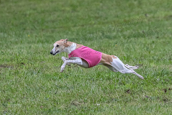 Prelim Open A1, Fia Piper Really-8195