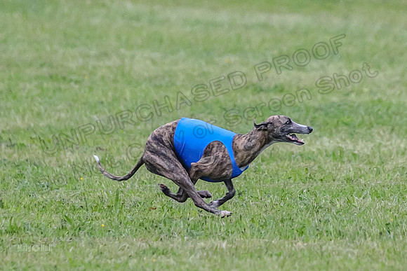 Prelim Open A2, Pear Vision Zoe-8236