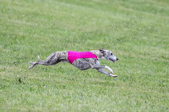 Prelim Open A4, Navy Atom Sasha-8311