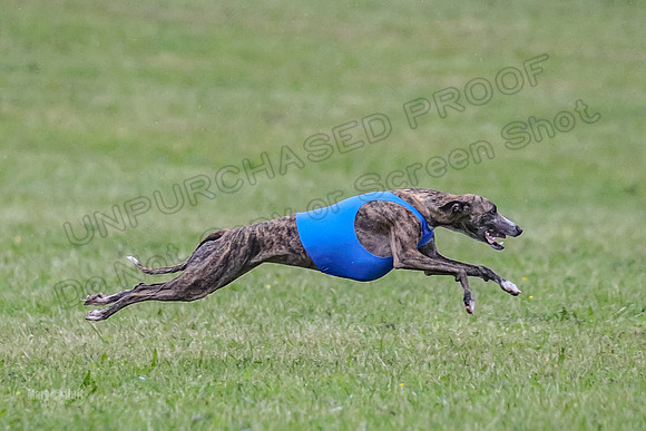 Prelim Open A2, Pear Vision Zoe-8242