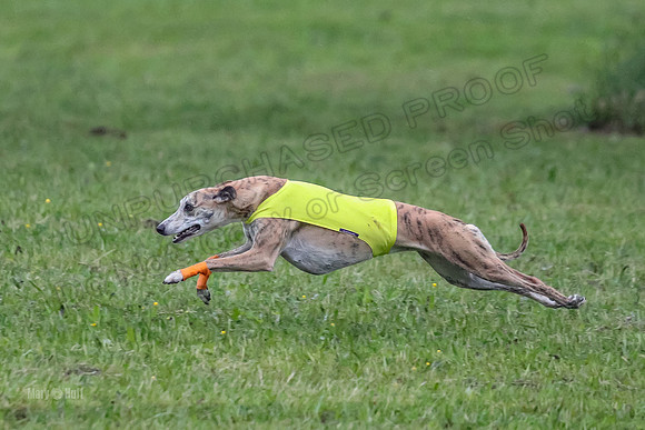 Prelim Open A3, Teak Steve Conall-8268