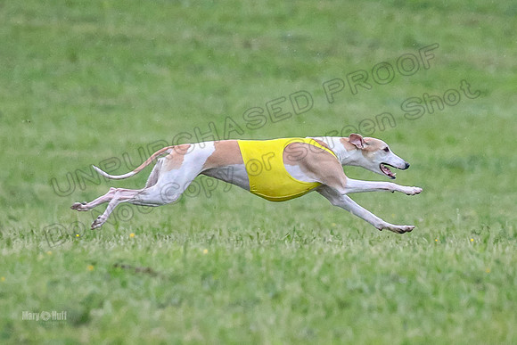 Prelim Open A2, Pear Vision Zoe-8244