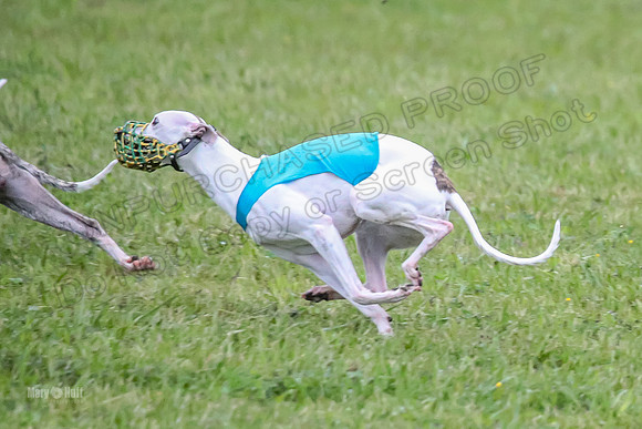 Prelim Open A5, Moby Gus Mimic-8339