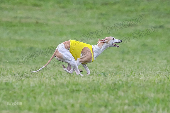 Prelim Open A2, Pear Vision Zoe-8246