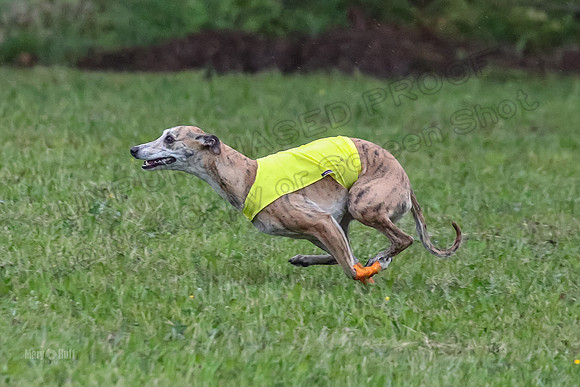 Prelim Open A3, Teak Steve Conall-8266