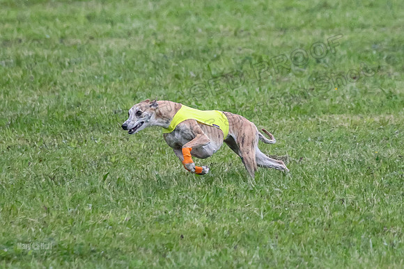 Prelim Open A3, Teak Steve Conall-8258