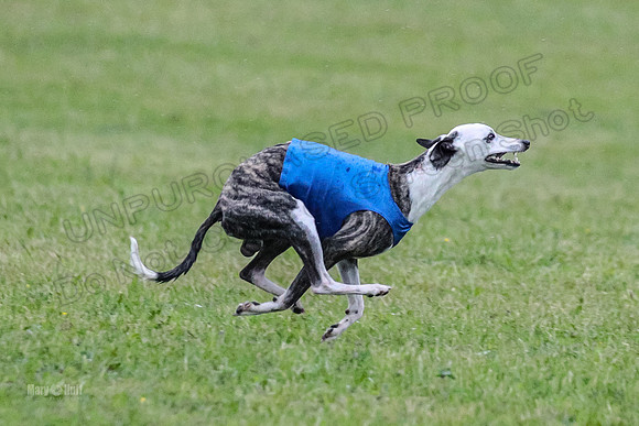 Prelim Open A1, Fia Piper Really-8215