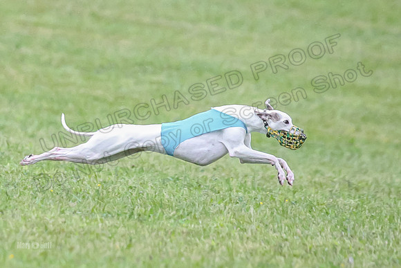 Prelim Open A5, Moby Gus Mimic-8353