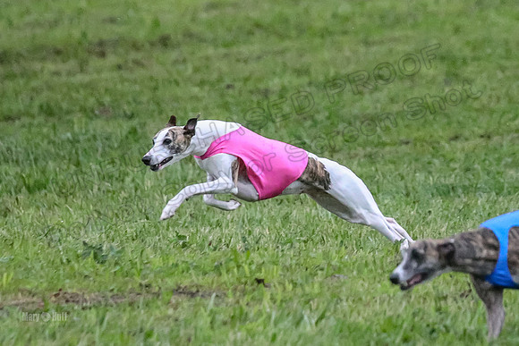 Prelim Open A2, Pear Vision Zoe-8223