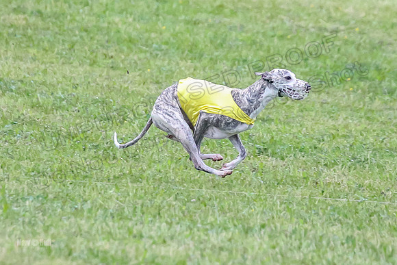 Prelim Open A5, Moby Gus Mimic-8343