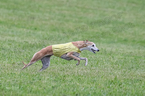 Prelim Open A1, Fia Piper Really-8211