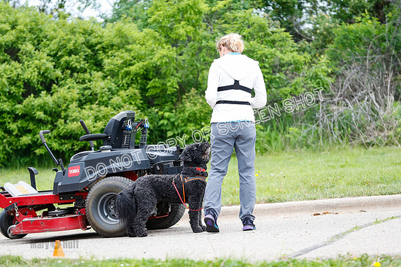 L1 Vehicle-7399