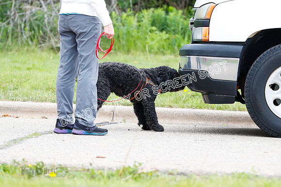 L3 Vehicle-7403