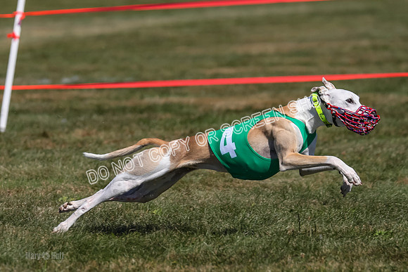Prg 3, Race 9, Bibi Maybe Nami Rosie-2173