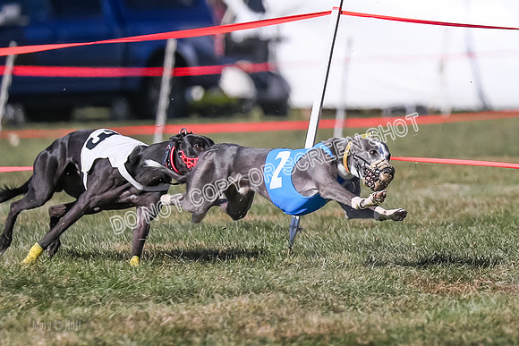 Prg 4, Race 14, Blast Voodoo Ocho Elevenes-2793