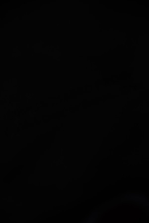 AE4I4499