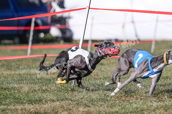 Prg 4, Race 14, Blast Voodoo Ocho Elevenes-2794