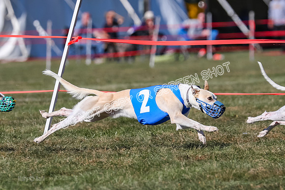 Prg 4, Race 12, Snacks Coty Ryka Stone-2739