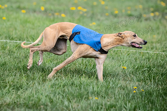 1 Prelim FCh A2 Keegan Really Rush-6659
