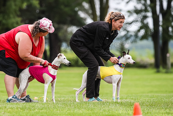 Finals Fch-Vet 1, Huxley Flare-1647
