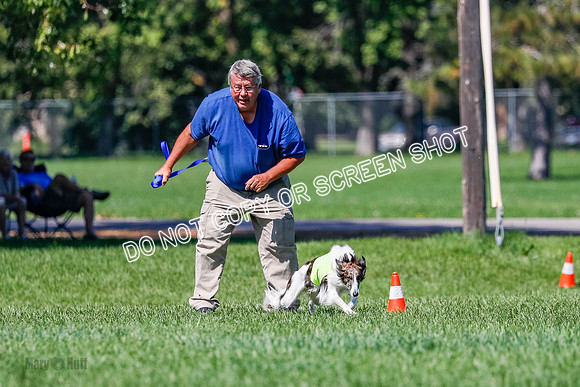 Silken Windhound Finals, Finnegan-3959