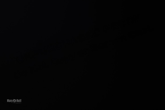 AE4I7934