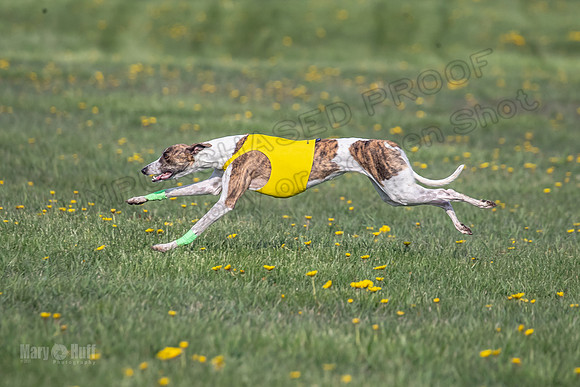 1Prelims Open E1 Boujee Riptide Zaza-0724