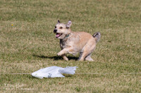IMG_1570