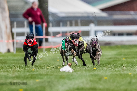 WRA, Prg 1, Race 4, Cassie Duesenberg Warrior Muchu Jasmine-8287