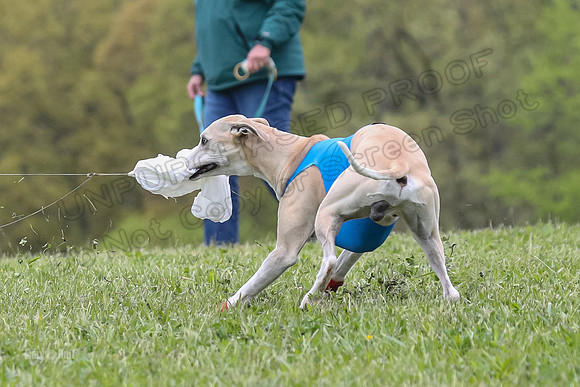 Finals Vets 2, Dora Nellie Akela-2293-2