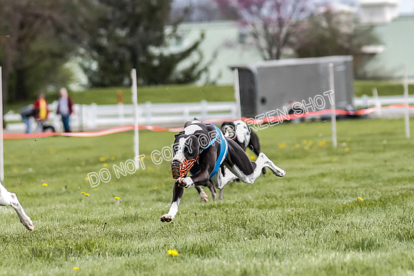 WRA, Prg 1, Race 10, Jamie Pico Nami Elia CC Savvy-8419