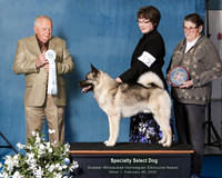 Show 1 Select Dog