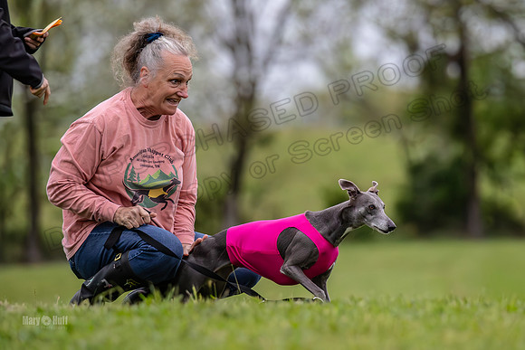 2930