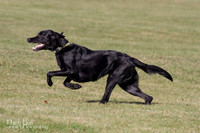 IMG_1533