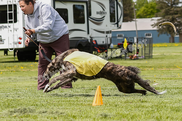 Finals, Open, Rainbow Vera-8995