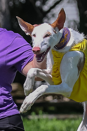 Finals Fch 1 Willow Penny Madyson-8224-2