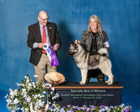 Elkhound 2020-1103-Edit