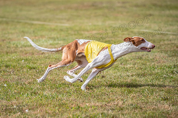 Finals Open 1 Jagger Maverick-3016