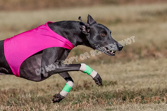 Open, Prelim, Luke-Flint-Lancer-4426