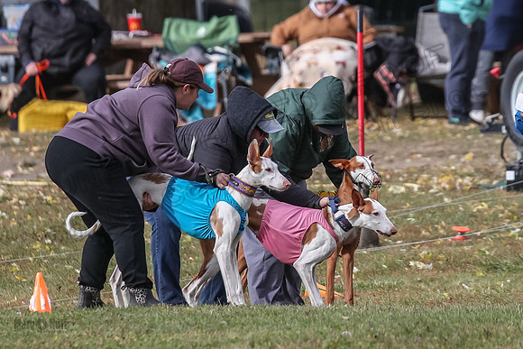 1 Prelims Fch 1 Penny Jadis Willow-5740