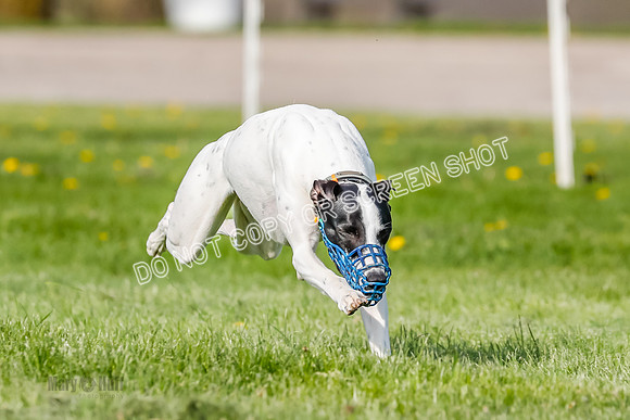 _E4I7987
