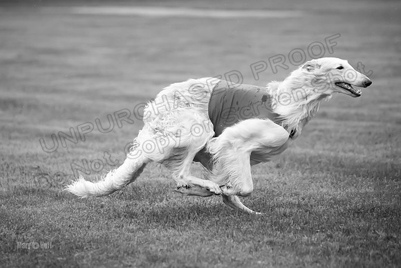 Open Prelim Bluegene Rhett Zen-0508-2