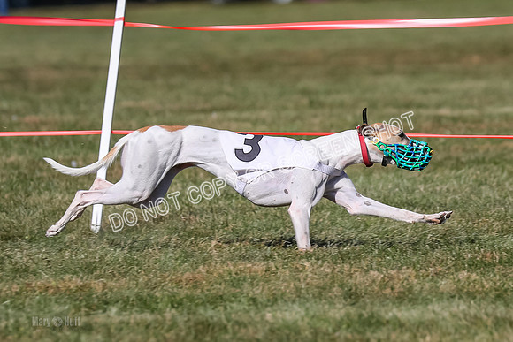 Prg 4, Race 12, Snacks Coty Ryka Stone-2749